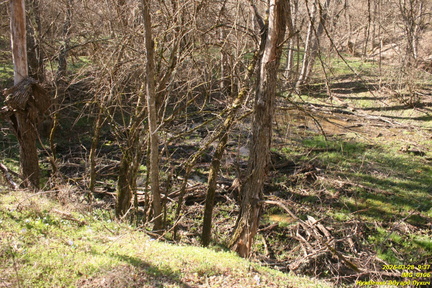 IMG 0106