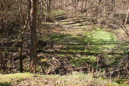 IMG 0107