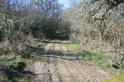 IMG 0112