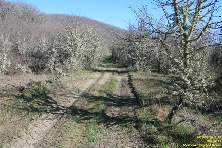 IMG 0113