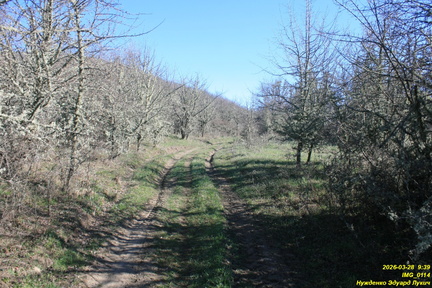 IMG 0114
