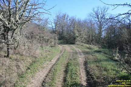 IMG 0115
