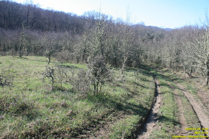 IMG 0116