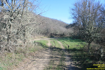 IMG 0117