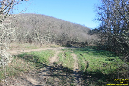 IMG 0118