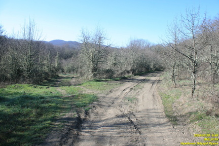 IMG 0119