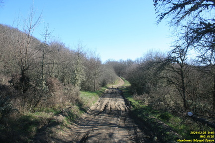 IMG 0120