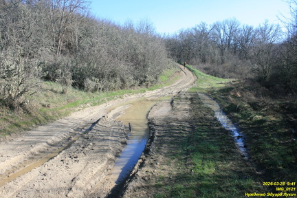 IMG 0121