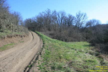 IMG 0123
