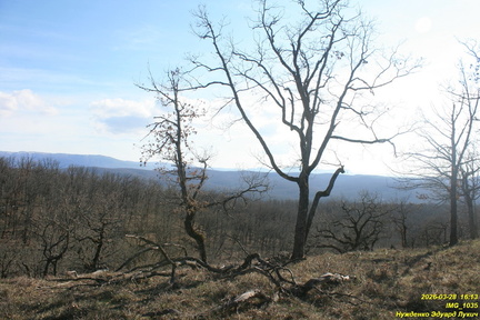 IMG 1035