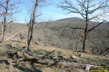 IMG 1041