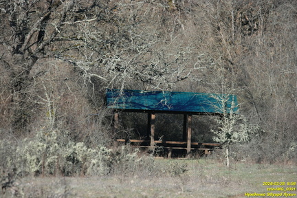 tele-IMG 0001
