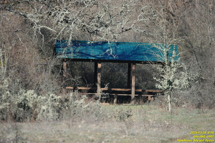tele-IMG 0002