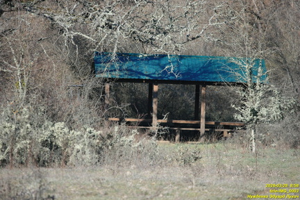 tele-IMG 0003