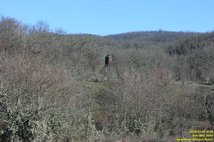 tele-IMG 0005