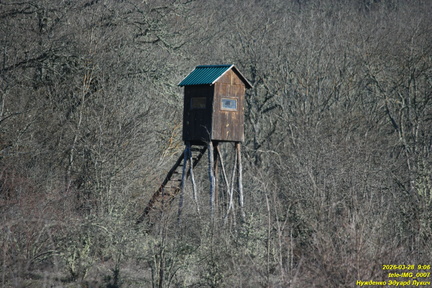 tele-IMG 0007