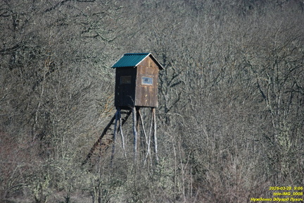 tele-IMG 0008
