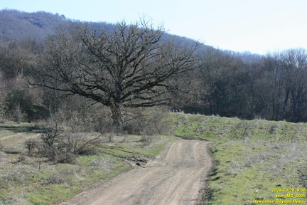 tele-IMG 0009