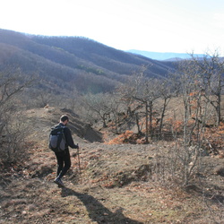 2016