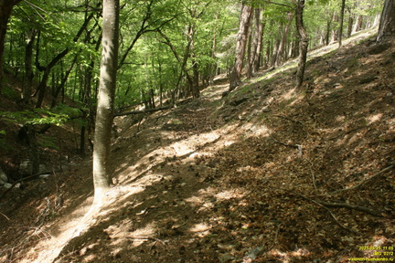 Царская Тропа