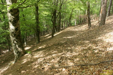 Царская Тропа