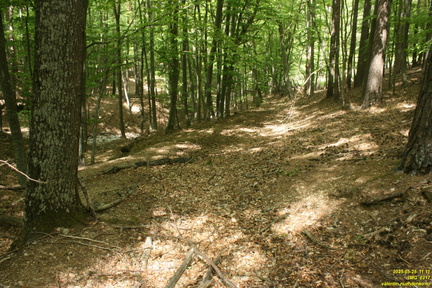 Царская Тропа