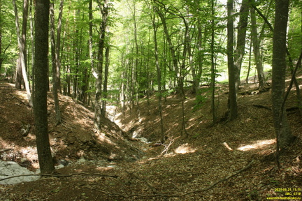 Царская Тропа