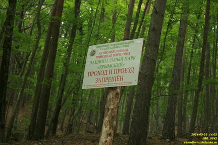 Нижняя часть оврага Гаврель