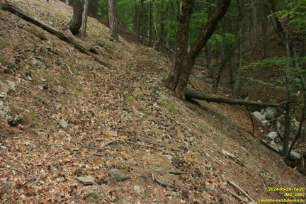 Царская Тропа