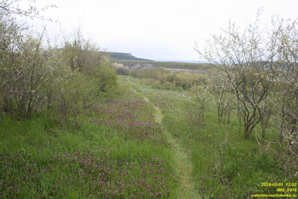 IMG 0418