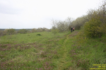 IMG 0420