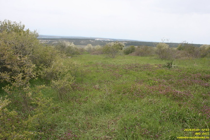 IMG 0422