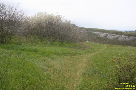 IMG 0423