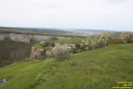 IMG 0424