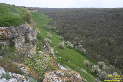 IMG 0425
