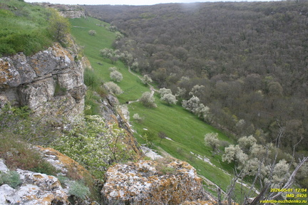 IMG 0426