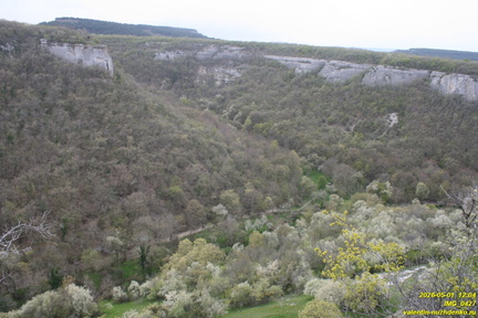 IMG 0427