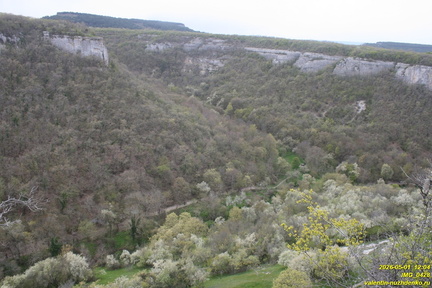 IMG 0428