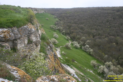 IMG 0429