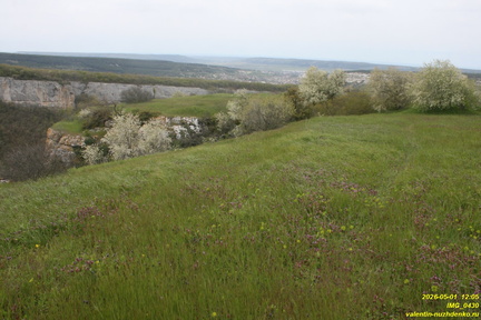 IMG 0430