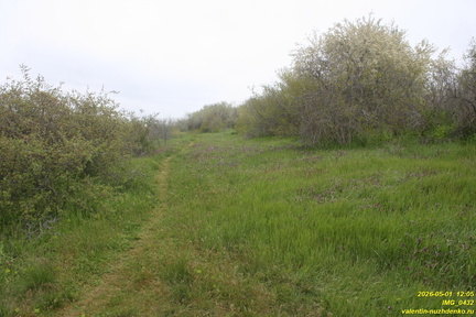 IMG 0432