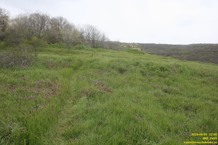 IMG 0435