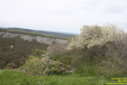 IMG 0436