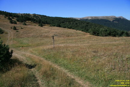 IMG 0150