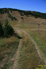 IMG 0151