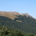 IMG 0152