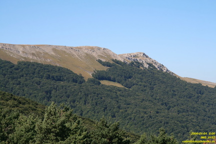 IMG 0152