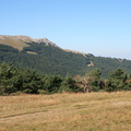 IMG 0153
