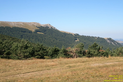IMG 0153