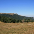 IMG 0154